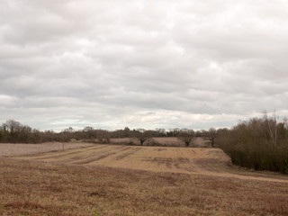 moody skyline clouds over autumn farm field