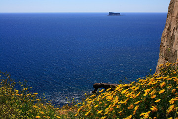 Landscape in Malta