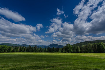 gruene naturlandschaft