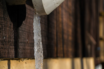 Iceicles 