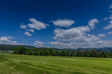 gruene natur und himmel