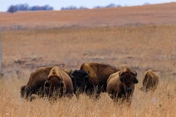 Gathering