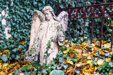 White stone sculpture of angel on cemetery