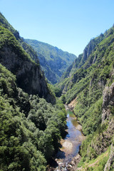 Fototapeta na wymiar Tara river canyon, Montenegro 