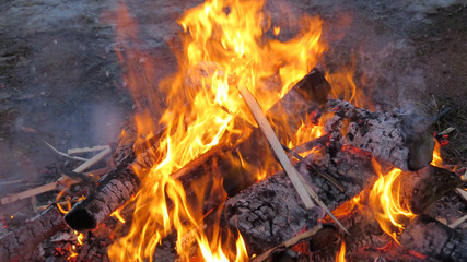 A bonfire