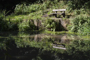 Fototapeta na wymiar Bench on the bank of the lake