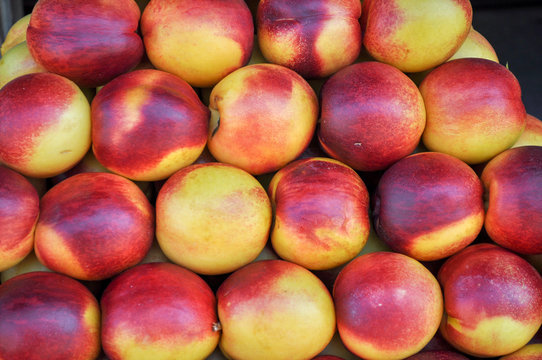 Pelones Seleccionados