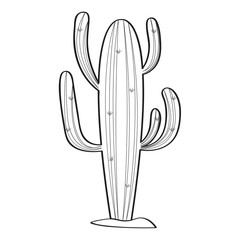 Cartoon cactus sketch