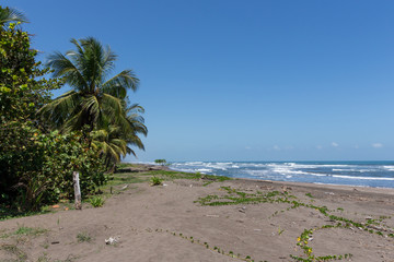 Black sand beach national park of Tortuguero in Costa Rica