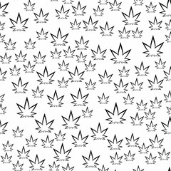 Seamless pattern black and white with of cannabis leaves.