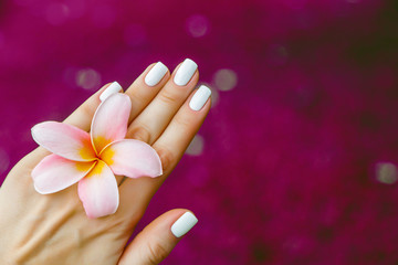 красивая женская рука с французским маникюром и цветком жасмина