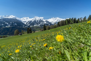 Fototapeta premium Frühlingserwachen in den Bergen