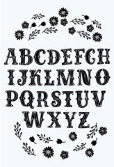 Latin alphabet vector, typography design. Set of Latin letters