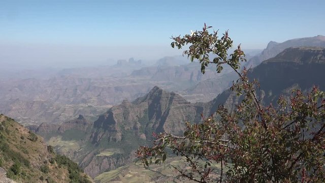 Ethiopian National Park Simien