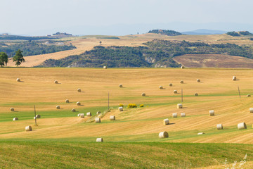Obraz premium Tuscany hills landscape, Italy