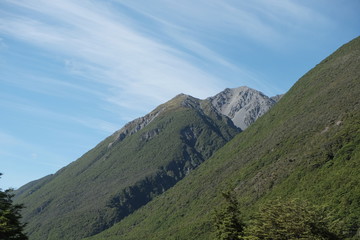 山