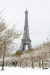 Winter in Paris in the snow. The Eiffel tower seen from the Champ de Mars with a snow covered tree lined alley in the foreground.