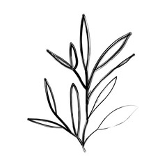 ramification with leaves on blurred silhouette vector illustration