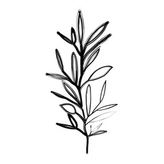 Fototapeta premium ramification with several leaves on blurred silhouette vector illustration