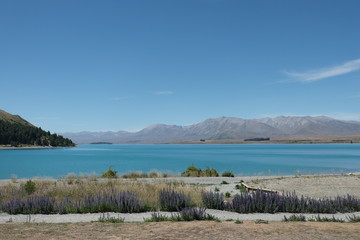 テカポ湖