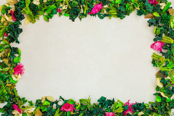 Frame of bright green dried flowers and rose petals on a neutral background. Spring concept.