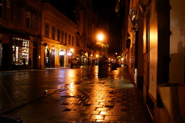 Fototapeta na wymiar Budapest di Notte
