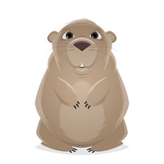 funny cartoon hamster