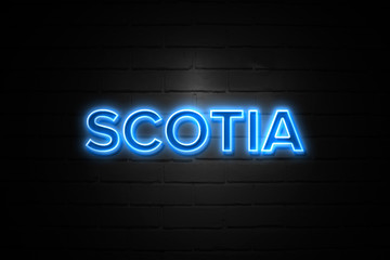 Obraz premium Scotia neon Sign on brickwall