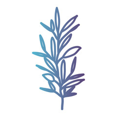ramification with several leaves on gradient color silhouette from blue to purple vector illustration