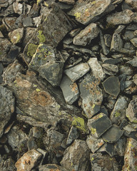 Stoney Shore