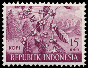 Stamp printed in Indonesia shows african Arabian coffee