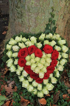 Red and white sympathy flowers near a tree