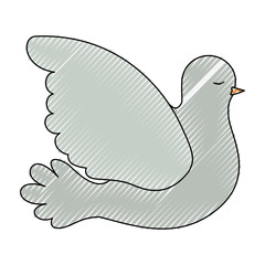 pigeon peace side view on color crayon silhouette vector illustration