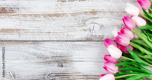 springtime pink tulips on white weathered wooden boards