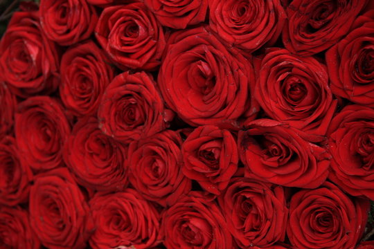 Red roses in bridal bouquet