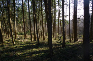 nos vacance en frence et au danmark