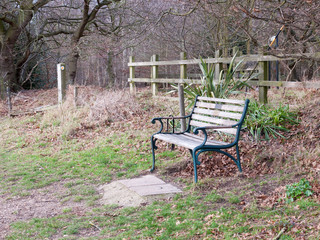 outside empty park bench autumn countryside lonely