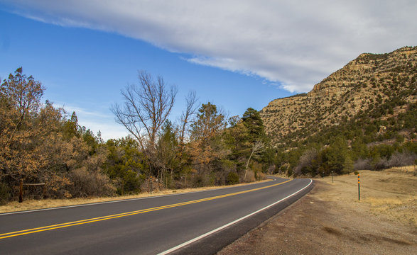 A highway disappearing around a curve between a rocky mountain dotted with shrubs and a stand of shrubs in a spring time american landscape