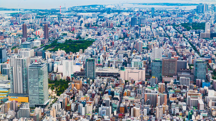 Fototapeta na wymiar Tokyo. The Biggest City On Earth.