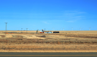 One farm house in a vast agricultural landscape with wind turbines in the background in a vast spring time landscape in america