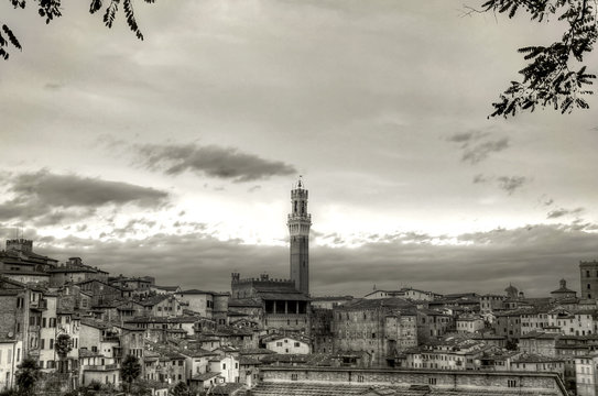 Siena, Il Campo, Piazza del Campo, Panoramic skyline. Mangia tower, Tuscany, Italy