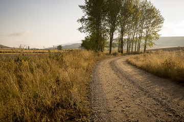 a dirt road at sunrise on a summer day, Castrojeriz, province of Burgos, Spain