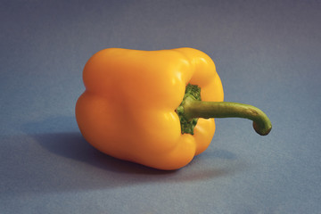 yellow pepper on Gray background