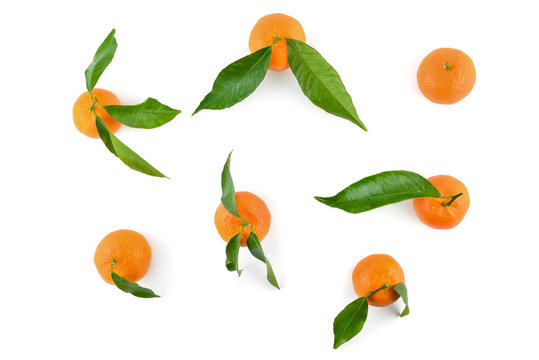 Top view of mandarins or oranges with leaves for layout isolated on white