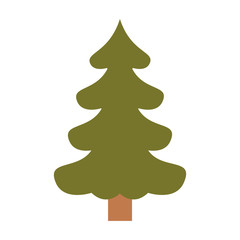 christmas tree pine with trunk colorful silhouette on white background vector illustration