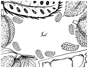 Hand Drawn Frame of Soursop and Durian Fruits