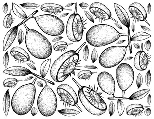 Hand Drawn Background of Fresh Ambarella Fruits