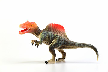 Shooting dinosaur isolated on white background, Animal concept.