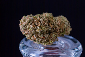 Cannabis Nug - Strain: Chem Dawg