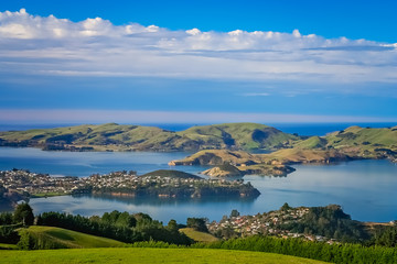 Fototapeta na wymiar Dunedin town and bay as seen from the hills above
